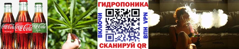 Еда ТГК марихуана  Южно-Сухокумск 